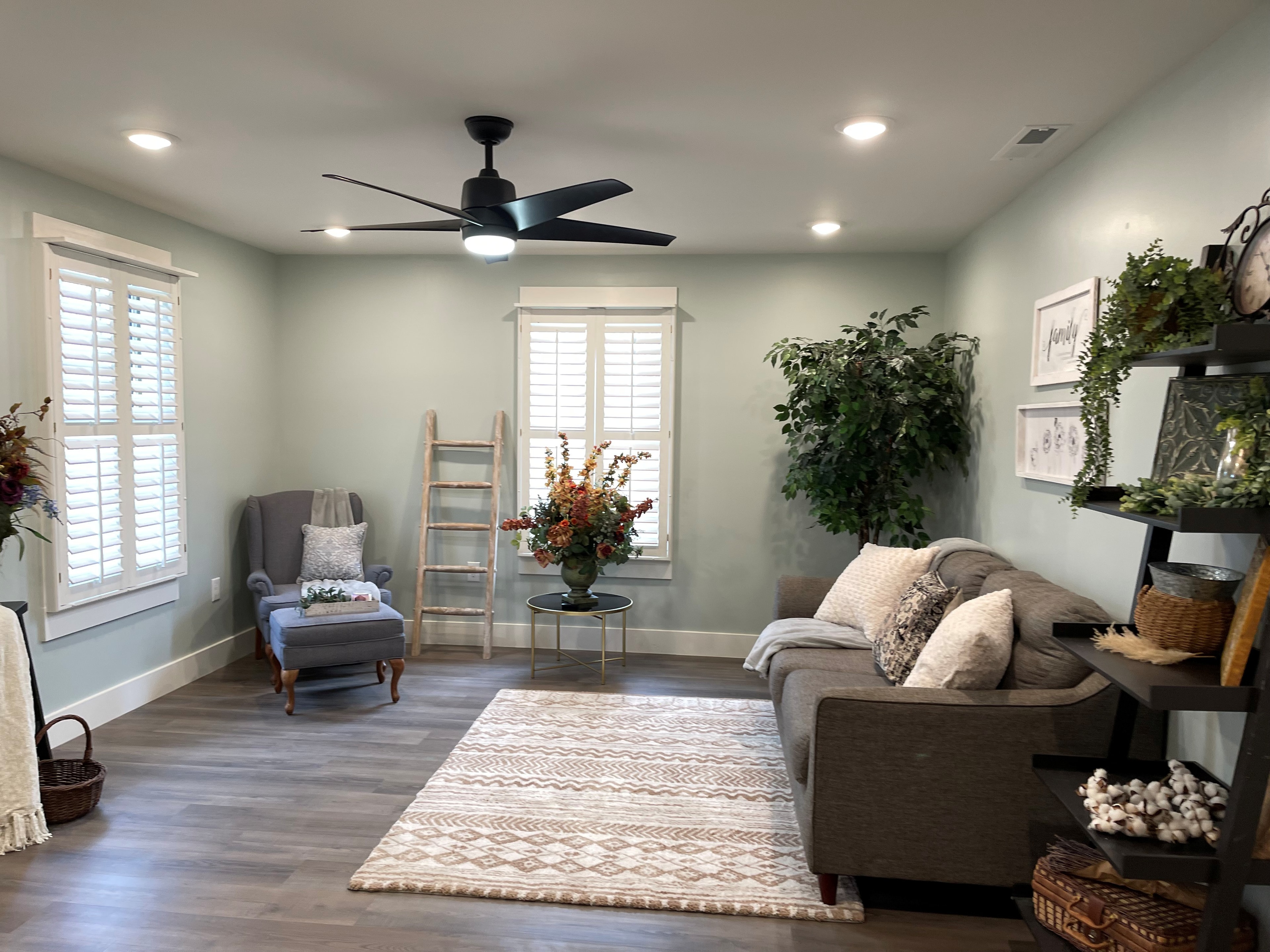 Clean bright living room after rescue
